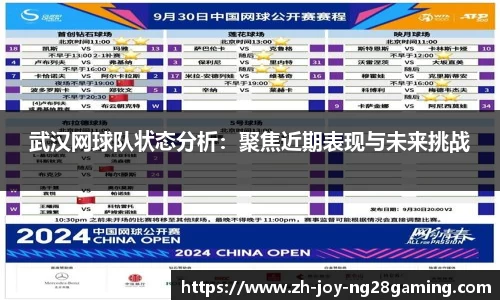 武汉网球队状态分析：聚焦近期表现与未来挑战