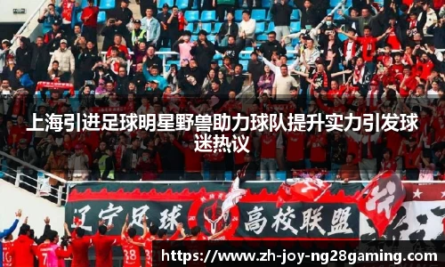 上海引进足球明星野兽助力球队提升实力引发球迷热议